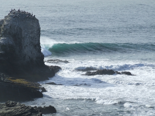 punta de lobos